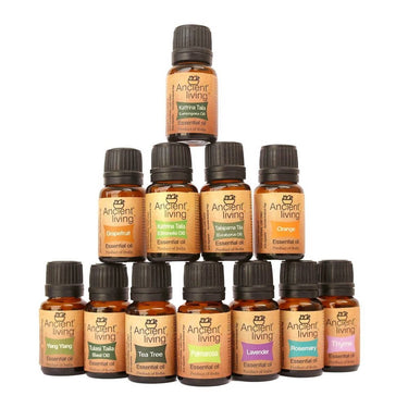 https://cdn.shopify.com/s/files/1/1857/6931/files/E5xspKIHES-250788.jpg?v=1736147408